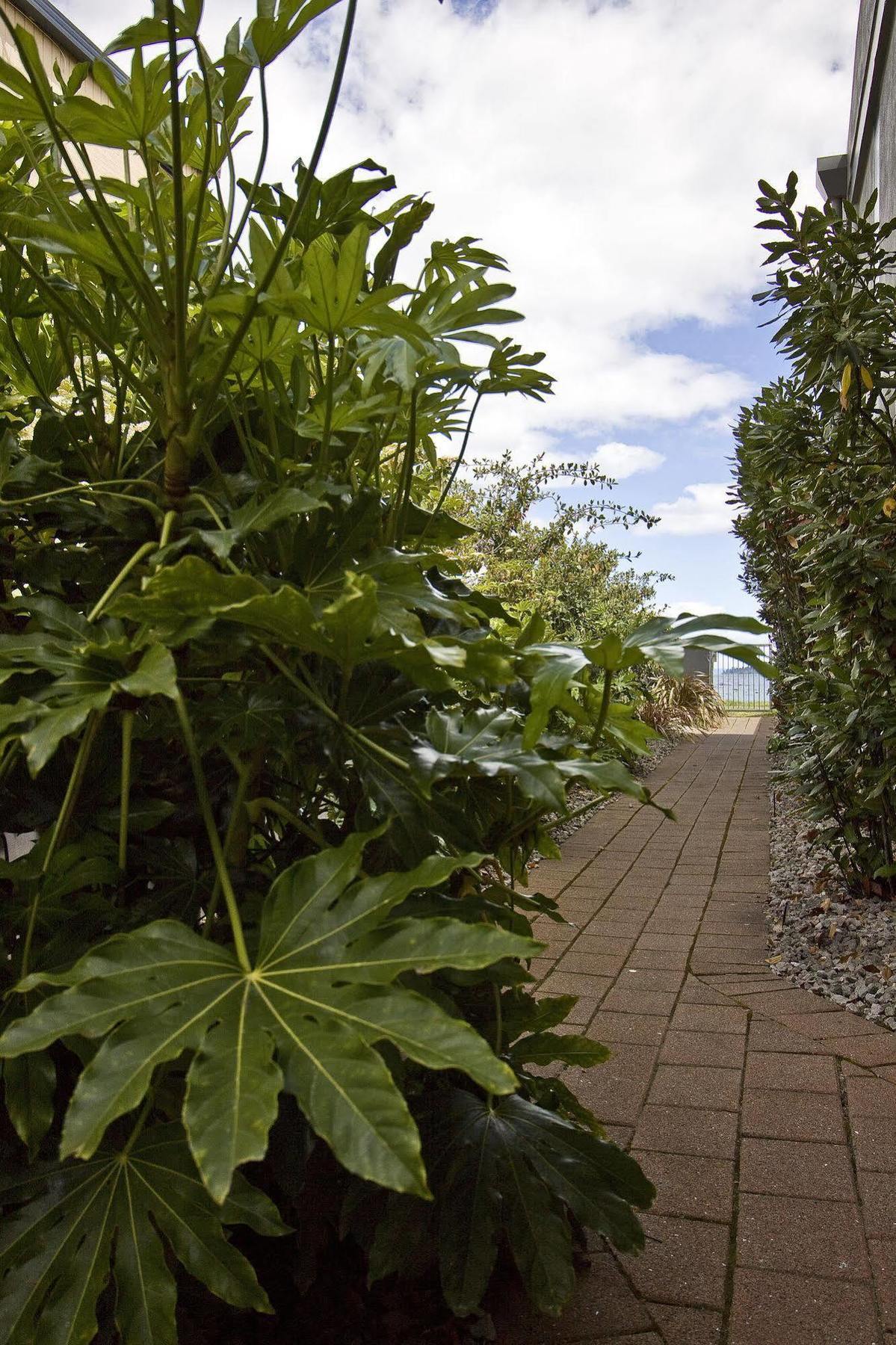 Clearwater Motor Lodge Taupo Exteriér fotografie
